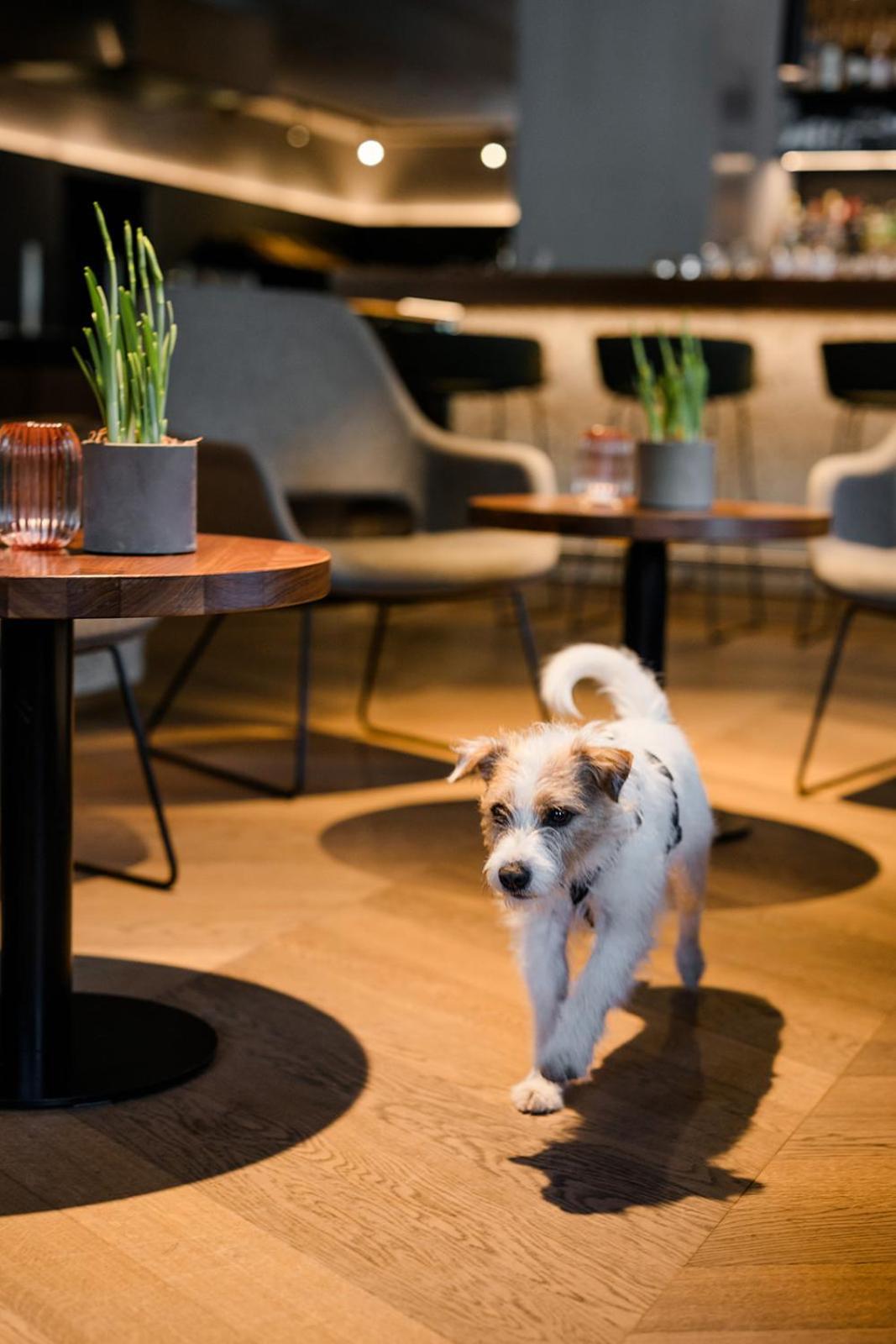 Hotel Bergzeit Grossarl Luaran gambar